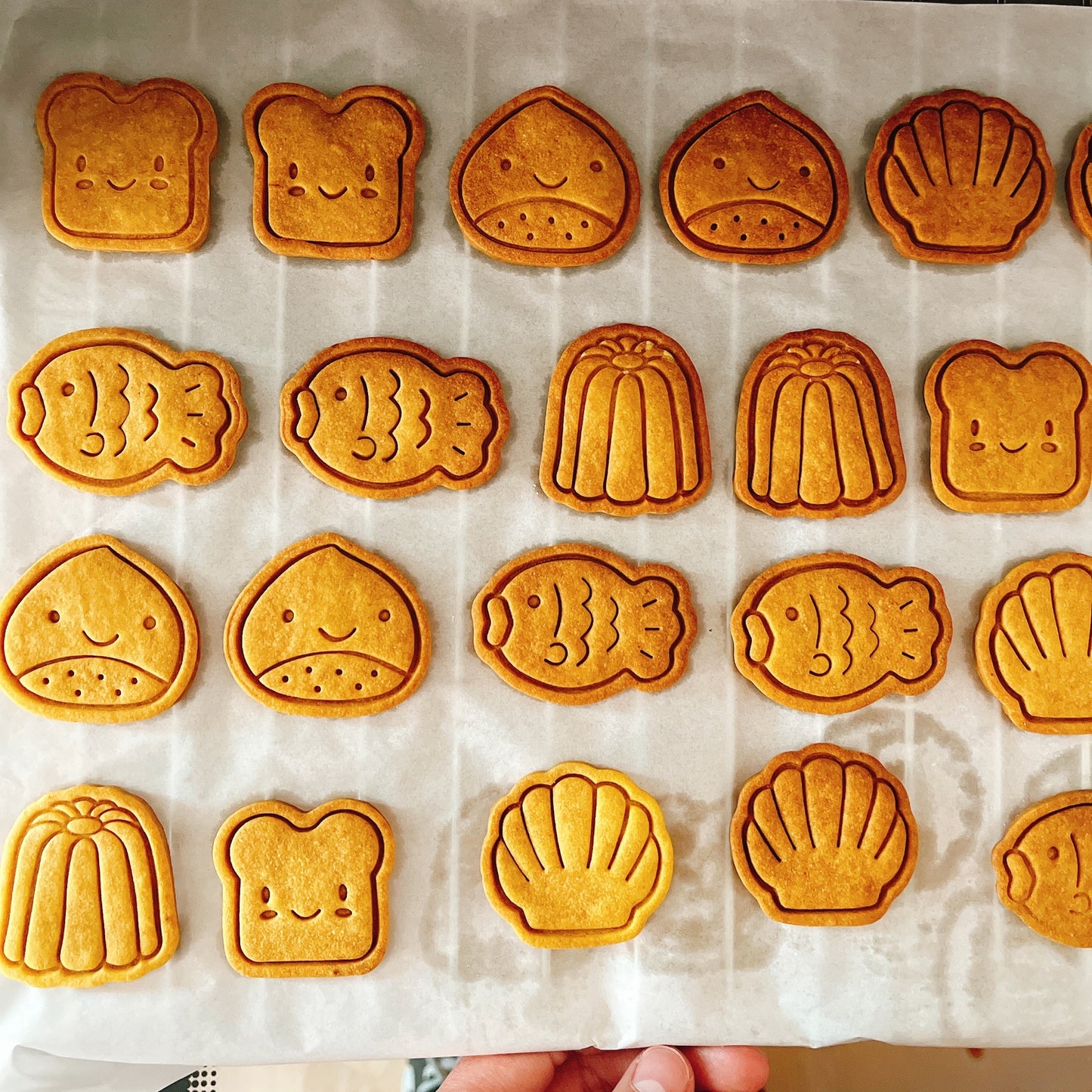 Cute Food Snacks 5 Pcs Cookie Cutter Set