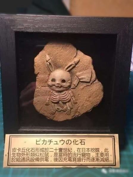 Pokemon Resin Fossils with Frame Various Designs